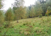 Podrobněji